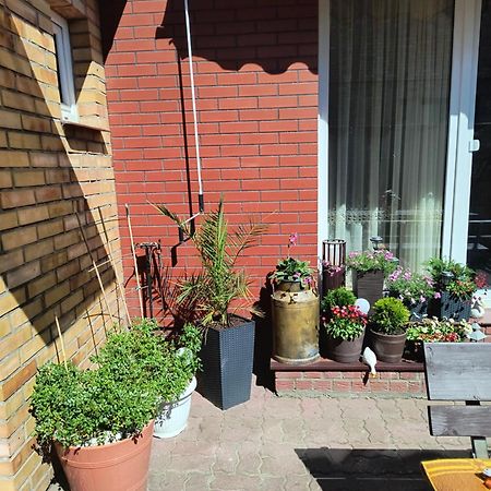Ogrodek U Eli Apartment โควอบเซก ภายนอก รูปภาพ