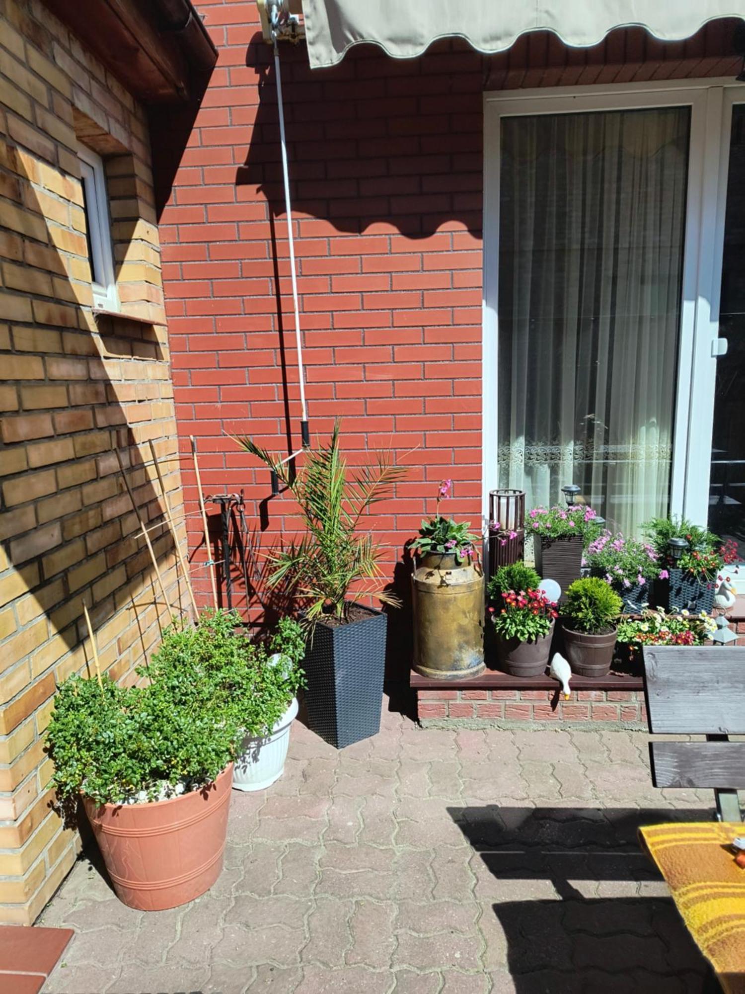 Ogrodek U Eli Apartment โควอบเซก ภายนอก รูปภาพ